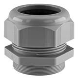 Schlemmer 5308933