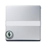 Busch-Jaeger 2118 GKSLN/11-33