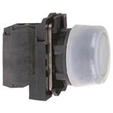 Schneider Electric XB5AP21