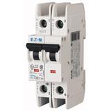 Eaton Electric FAZ-C10/2-NA
