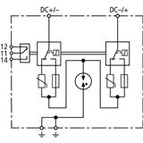 Dehn + Söhne DCB YPV SCI 600 FM