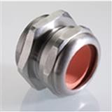 Pflitsch 22052st11