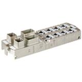 Murrelektronik 55256