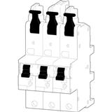 ABN Braun XKS335-5