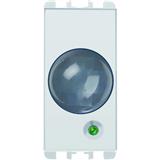 Grothe IR 1033/169