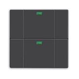 Busch-Jaeger 6126-85-101