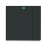 Busch-Jaeger 6125-81-101