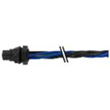 Murrelektronik 7000-P8181-P800025