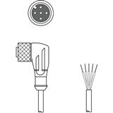 Leuze electronic K-D M12W-5P-2m-FAB