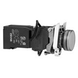 Schneider Electric XB5AV5B1