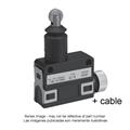 Azbil SL1-BXG3 Compact Horizontal Limit Switch