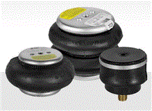 Firestone W02M583001 1M1A0 AirSpring