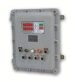 Seneca S21N1EX Batch controller clock based in EExd case