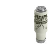 Siemens 5SD8020