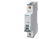 Siemens 5SY4102-5